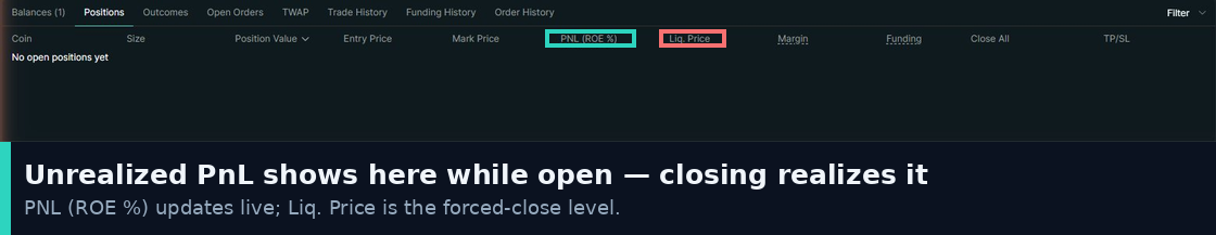 The Hyperliquid Positions panel showing the PNL and liquidation price columns